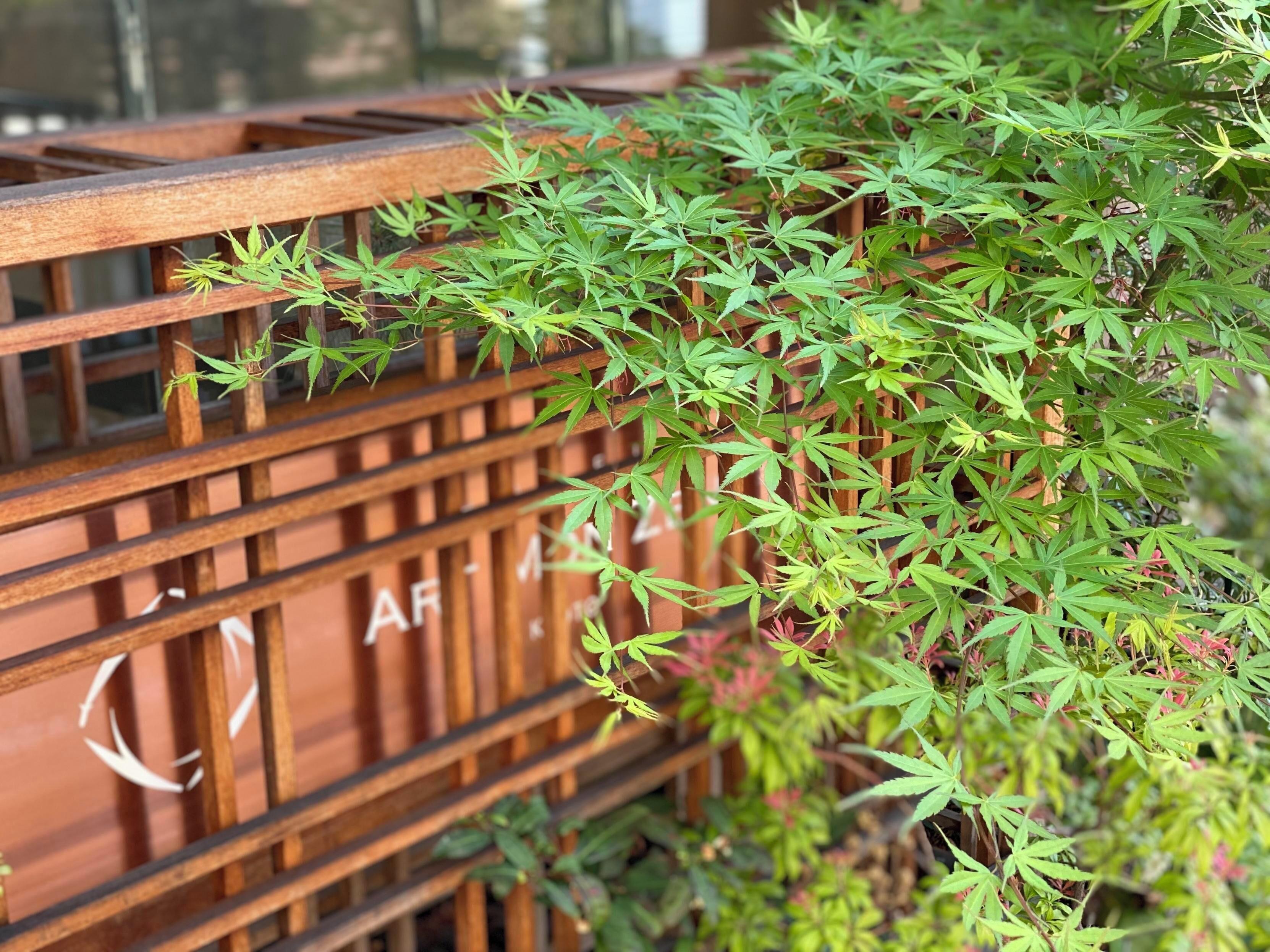 Art Mon Zen Kyoto Hotel — Photos 2